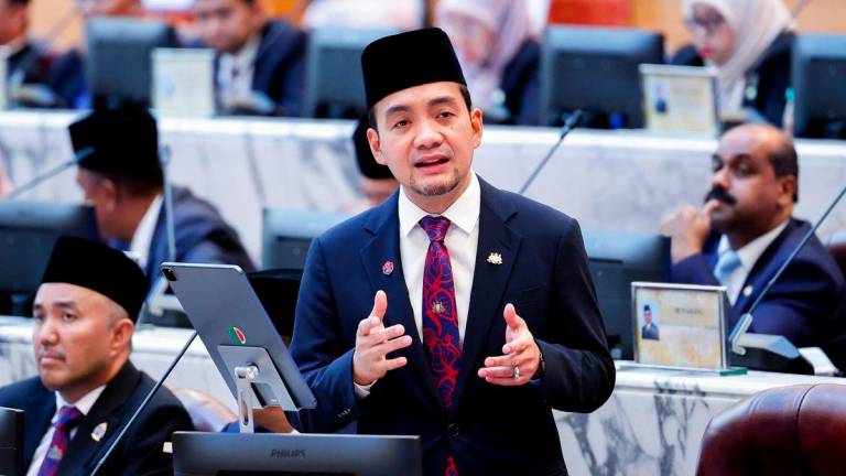 BERNAMAPIX