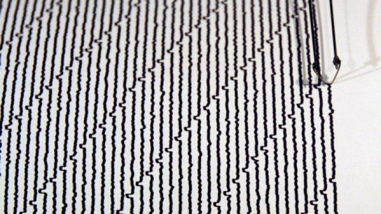 Powerful 7.3 quake hits off Vanuatu, no tsunami threat