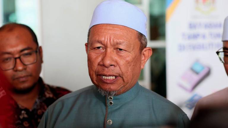BERNAMAPIX