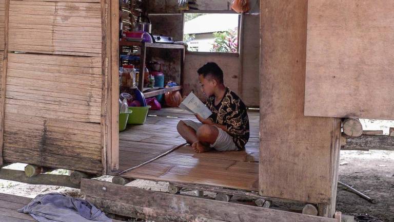 Nicholas said there is real concern over recognition of Orang Asli rights involving customary land and traditional territories. - Adib Rawi Yahya/theSun