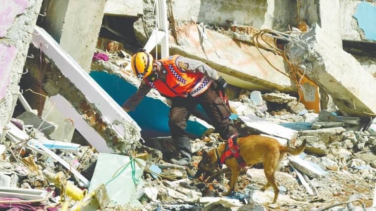 Studies have shown how dogs assist in search-and-rescue missions, detect illnesses and provide emotional support to the vulnerable. – REUTERSPIC