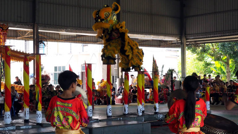Antara aksi akrobatik tarian singa yang dipamerkan pasukan yang mengambil bahagian sempena Pertandingan Tarian Singa dan Naga peringkat Kebangsaan Piala YB Along 2025 yang berlangsung di Sekolah Jenis Kebangsaan Cina (SJKC) Chiao Chee, Selandar, di sini hari ini. - BERNAMA