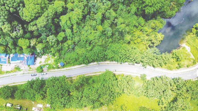 Adam warned that without strong legal protections, Malaysia’s forests will continue to shrink under the guise of ‘sustainable’ development. – Adam Amir Hamzah/theSun