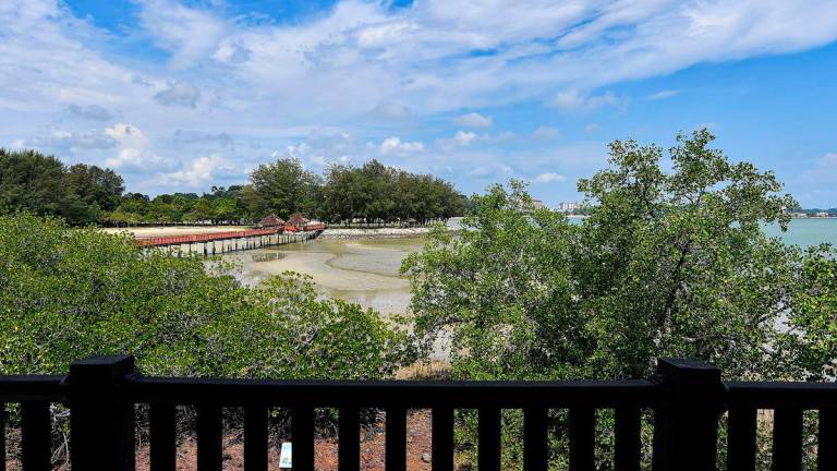 Gambar Hiasan sahaja: Pulau Burung, Port Dickson -BERNAMA