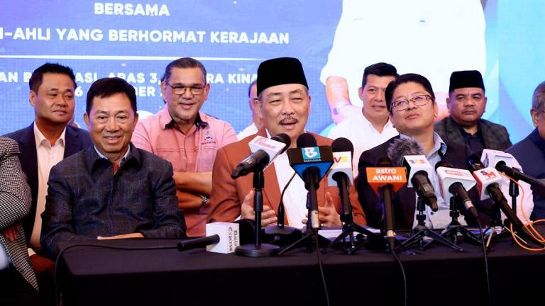 - BERNAMApix