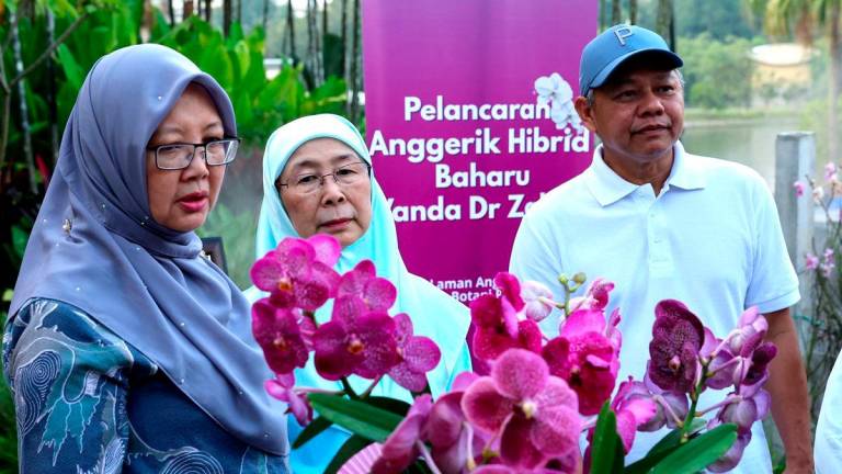Isteri Perdana Menteri Datuk Seri Dr Wan Azizah Wan Ismail (tengah) melihat spesis orkid hibrid baharu Vanda Dr Zaliha pada Majlis Perasmian Putrajaya Parks Day 2025 di Taman Botani, Presint 1 hari ini- BERNAMA