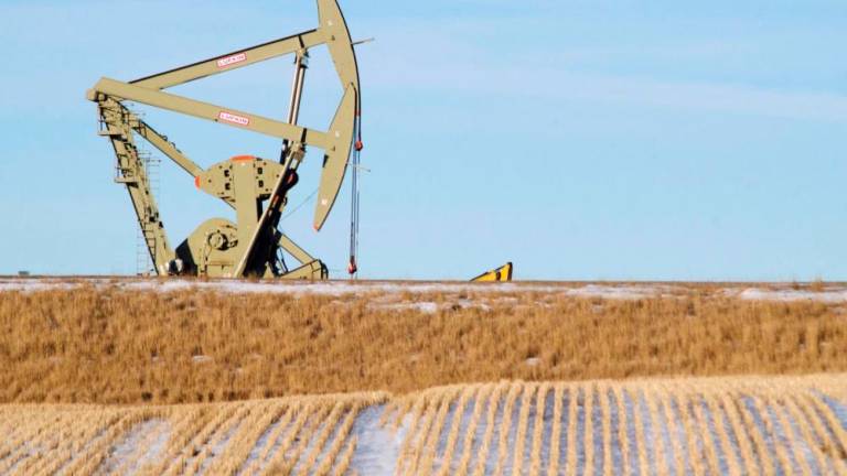 FILEpix: An oil pumpjack operates near Williston, North Dakota January 23, 2015. REUTERS