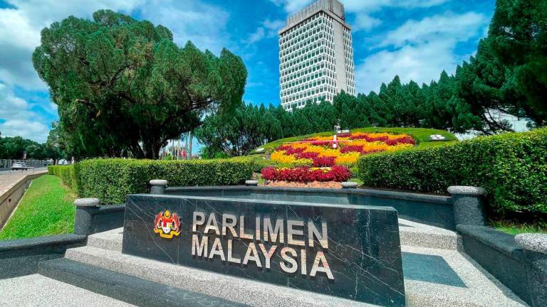 Gambar tujuan representasi sahaja: Adib Rawi Yahya/ theSun