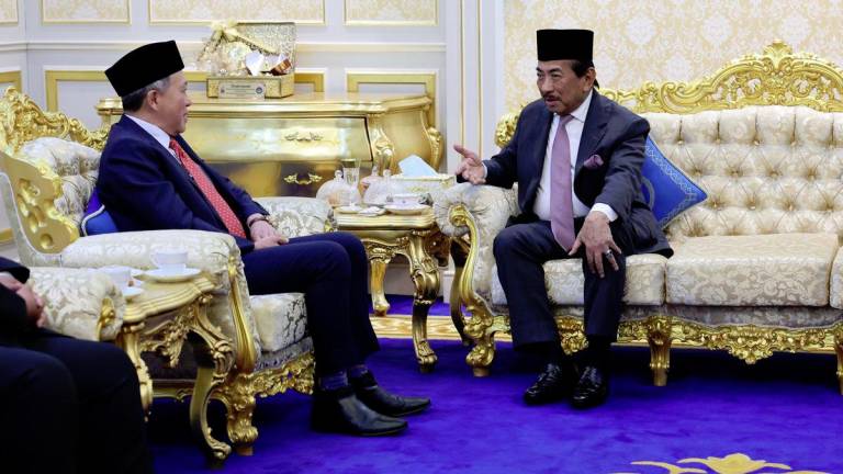 BERNAMApix