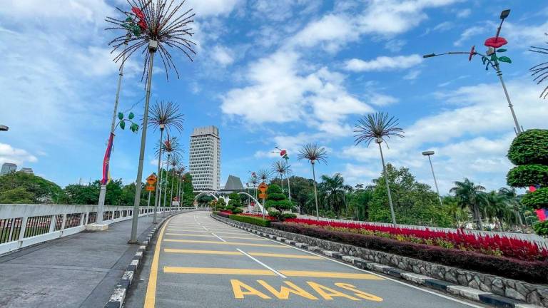Pix for representational purposes - Adib Rahwi Yahya/theSun