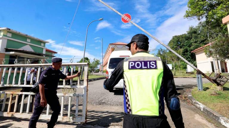 Bernamapix