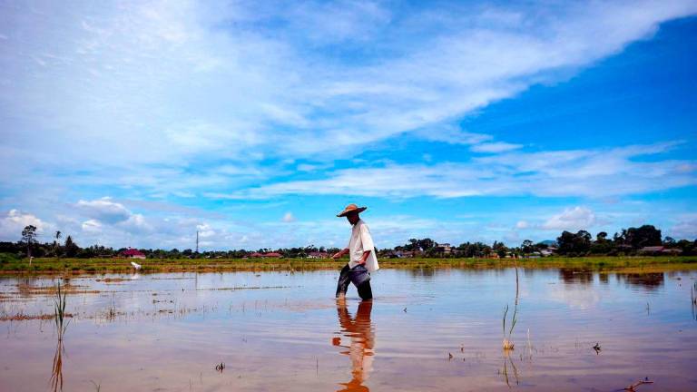 Gambar hiasan. FotoBernama