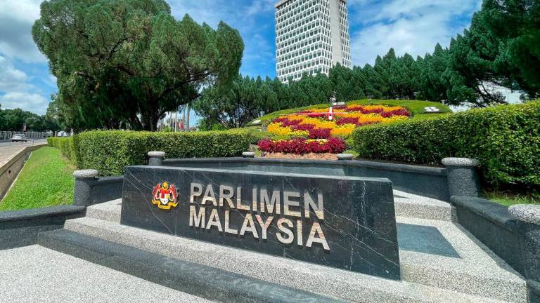 Pix for representational purposes - Adib Rahwi Yahya/theSun