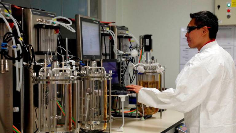 An employee checks readings at a laboratory in a pharmaceutical manufacturing factory in Singapore April 17, 2017. - REUTERSPIX