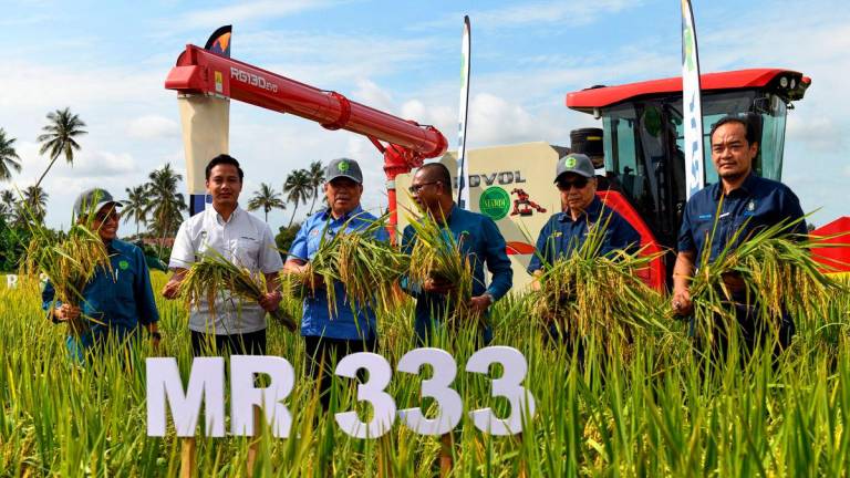 Photo by BERNAMA