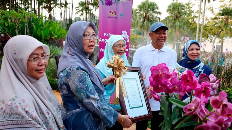 Isteri Perdana Menteri Datuk Seri Dr Wan Azizah Wan Ismail (tengah) menyaksikan penyerahan sijil spesis orkid hibrid baharu Vanda Dr Zaliha pada Majlis Perasmian Putrajaya Parks Day 2025di Taman Botani, Presint 1 hari ini. Turut hadir Menteri di Jabatan Perdana Menteri (Wilayah Persekutuan) Datuk Seri Dr Zaliha Mustafa (dua, kiri) dan Presiden Perbadanan Putrajaya Datuk Fadhlun Mak Ujud (dua, kanan) - BERNAMA