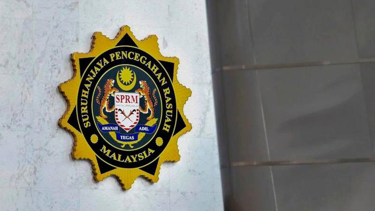 Pix for visual purposes - BERNAMApix