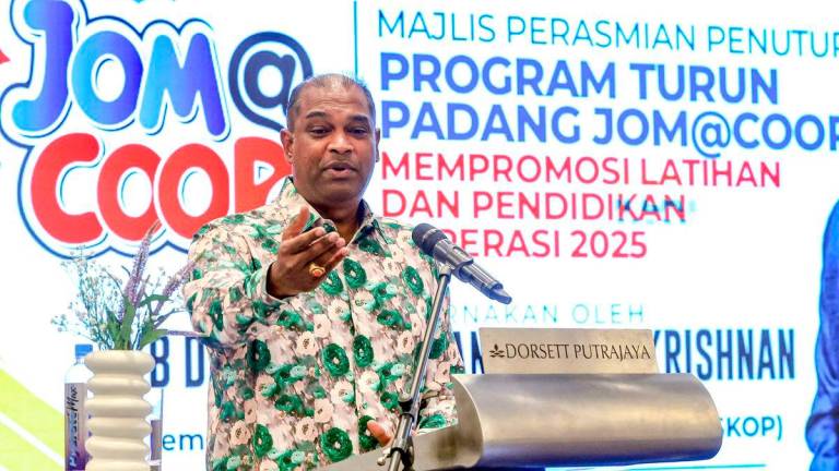 Bernamapix
