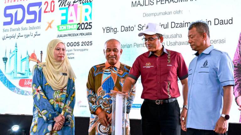 Bernamapix