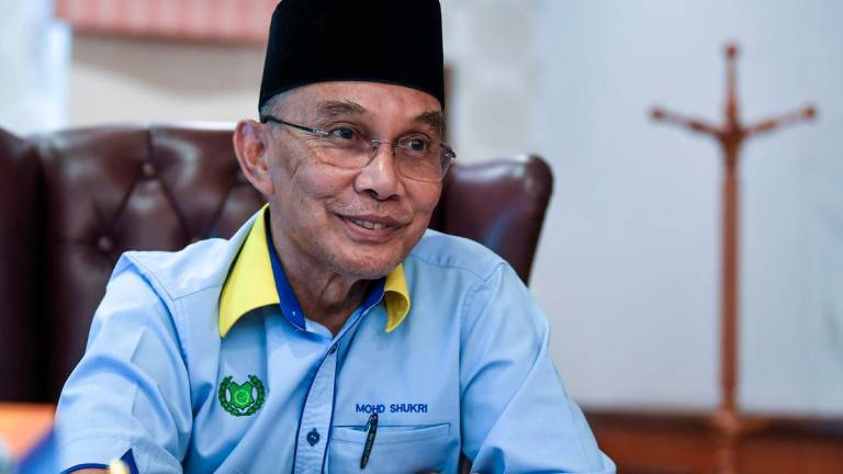 BERNAMAPIX
