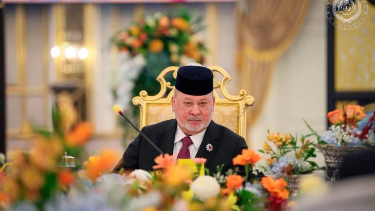 Gambar Kredit: Sultan Ibrahim Sultan Iskandar / Facebook