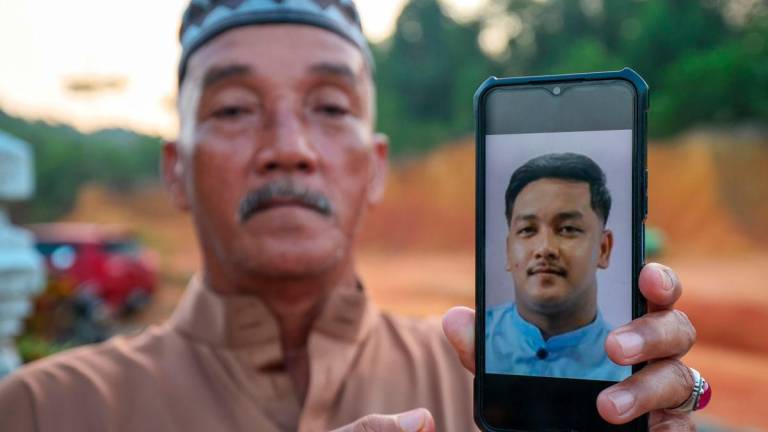 Bernamapix
