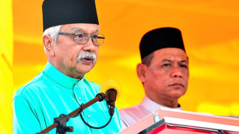 BERNAMAPIX