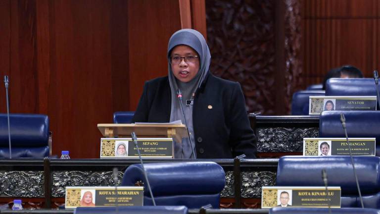 BERNAMAPIX