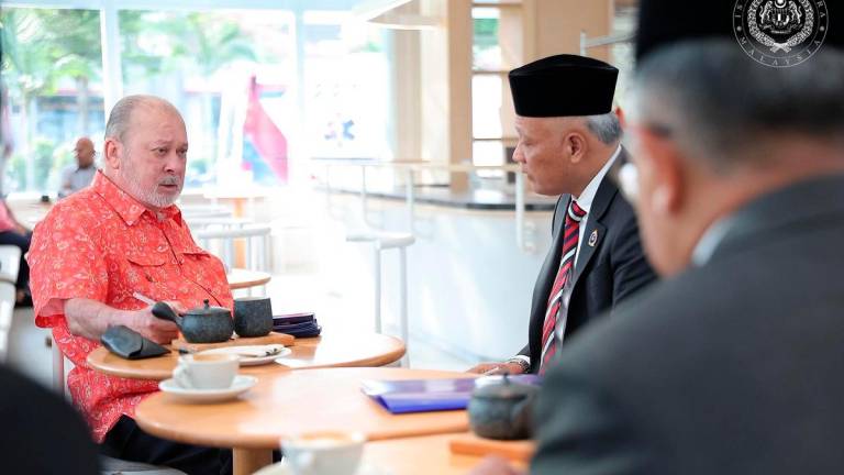 Credit: Sultan Ibrahim Sultan Iskandar / FB