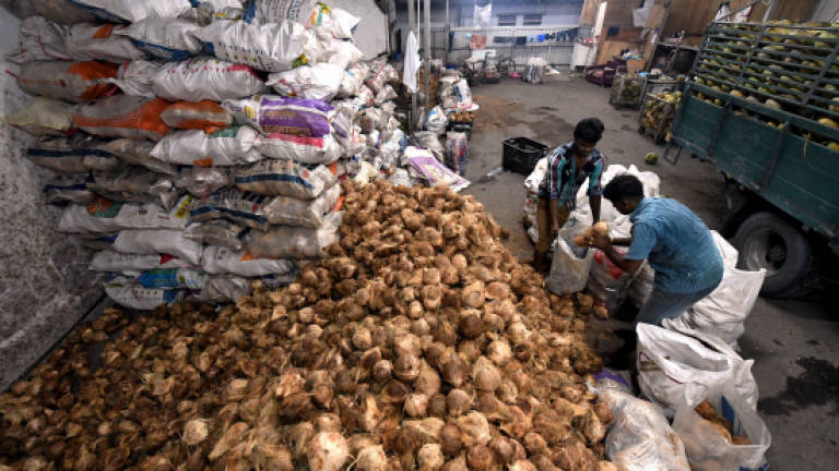 Call for CAP on Thaipusam coconut-breaking ritual