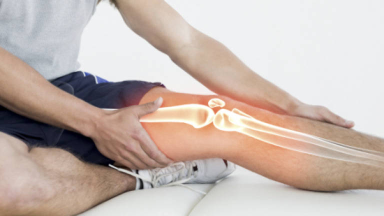 Knee arthritis twice as common in US since WWII: Study