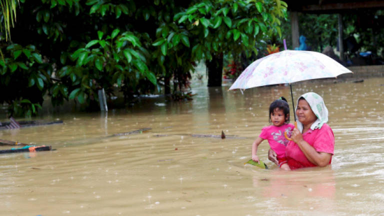 Terengganu floods: Number of victims rises to 1,479