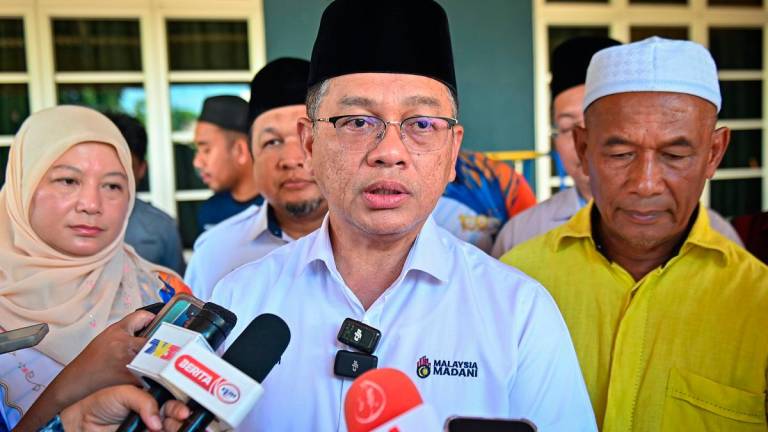 - BERNAMApix