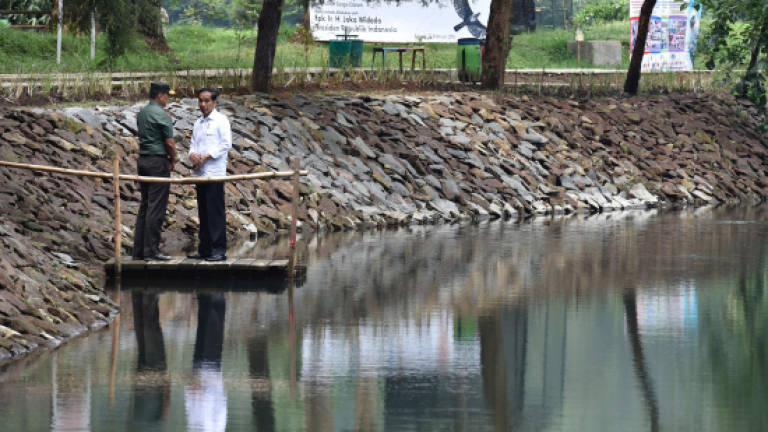 Toxic river should be clean enough to drink within 7 years: Jokowi
