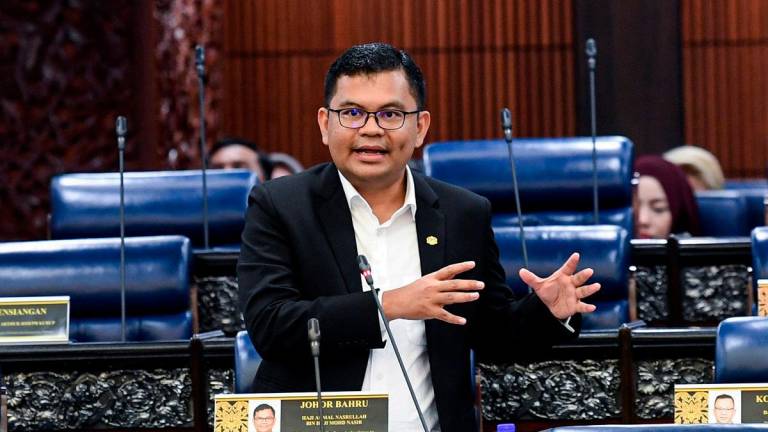 - BERNAMApix