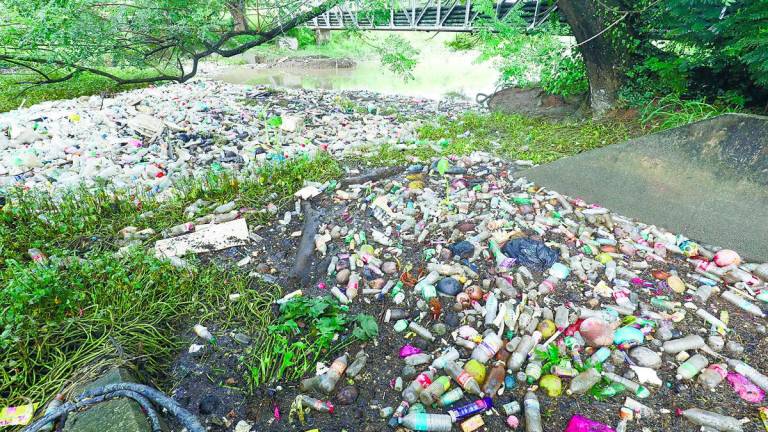 Ahmad said plastics could carry toxic pollutants and clog drains, increasing the risk of flash floods and triggering environmental problems. – Masry Che Ani/theSun