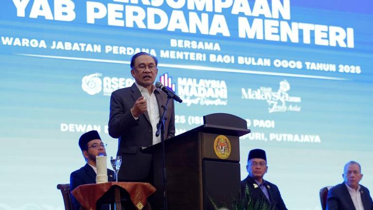 - BERNAMApix
