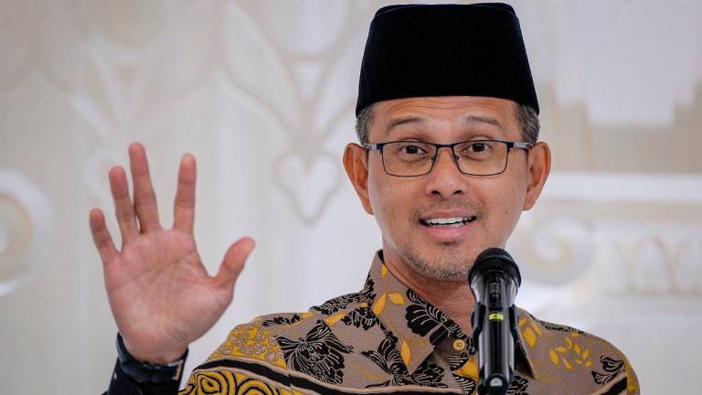 - BERNAMApix