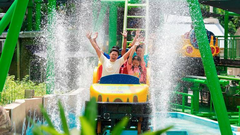 The Wild Chase Water Coaster offers a blend of coaster thrills and splashing fun in a lush tropical setting.
