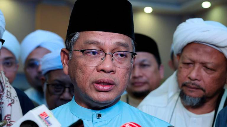 BERNAMAPIX