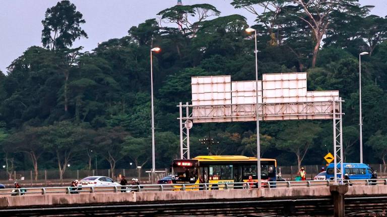 - BERNAMApix