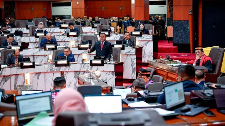 - BERNAMApix