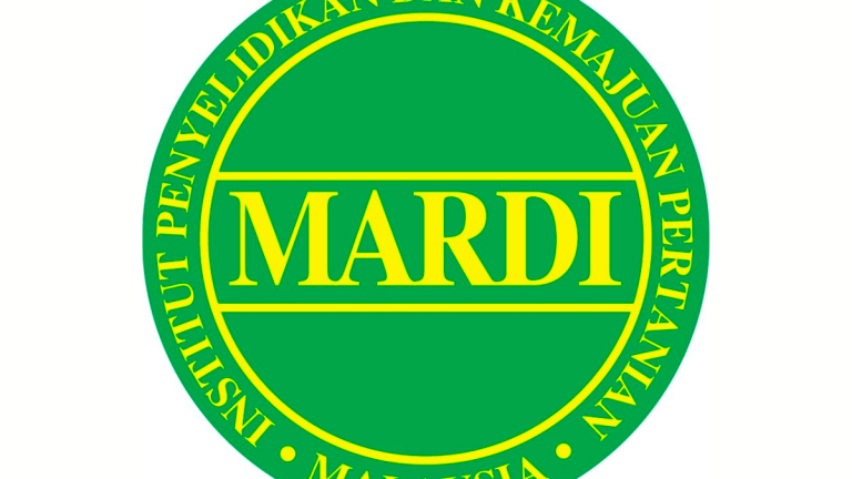 MARDI - FACEBOOKpix