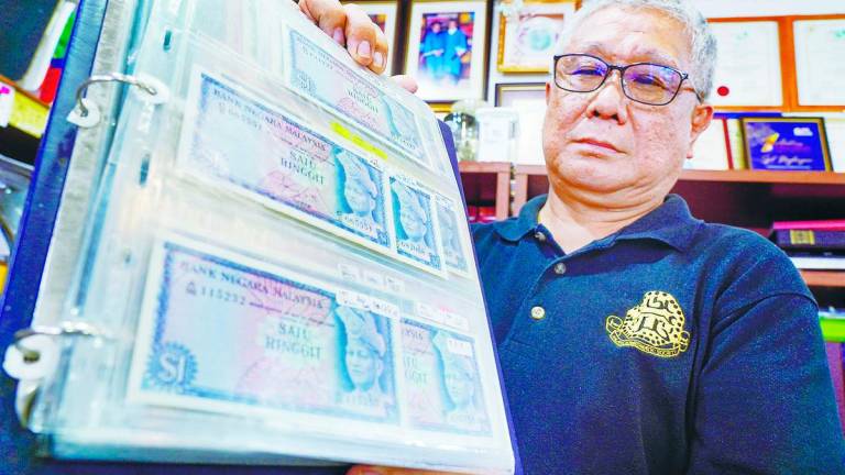 Niew cautioned Malaysians not to fall for too-good-to-be-true promises online. – AMIRUL SYAFIQ/THESUN