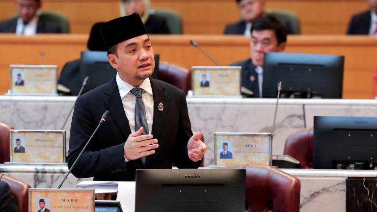 BERNAMAPIX