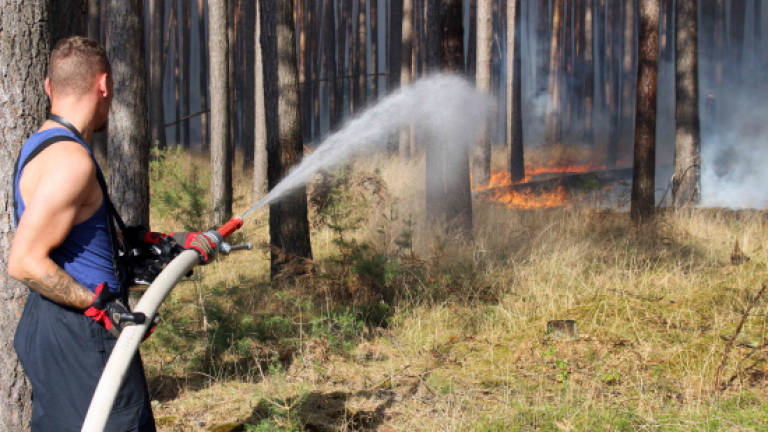 'Serious' signs arson started deadly Greek wildfire