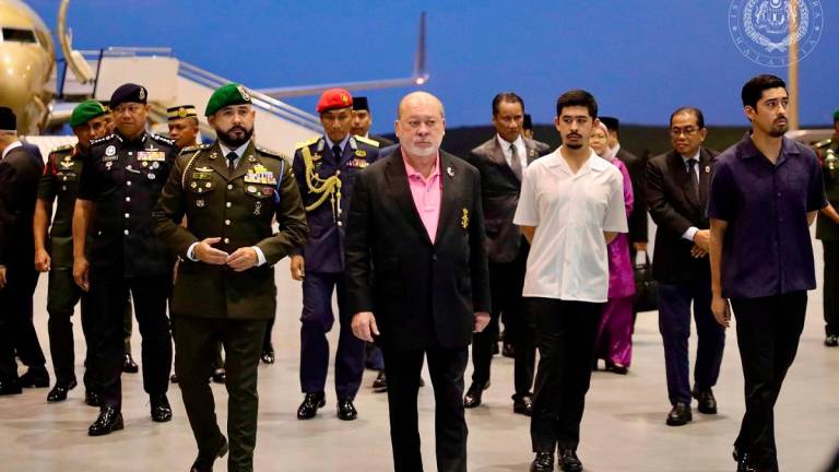 Credit: Sultan Ibrahim Sultan Iskandar / Facebook