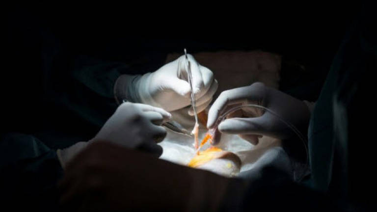 China's organ transplant system feted despite transparency doubts
