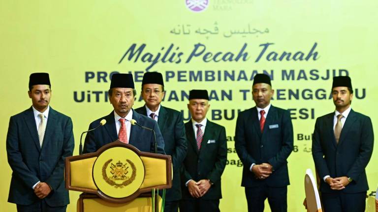 - BERNAMApix