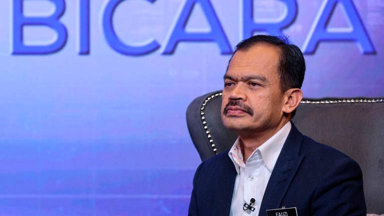 Bernamapix